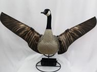 FF Dakota X Flapper
